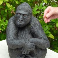 Irene Kau - Geimpfter Gorilla