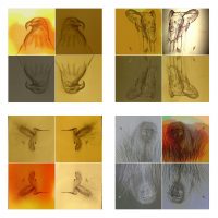 Julia Bücherl - Animale - Collagen - Vier Bilder (Beispiele)